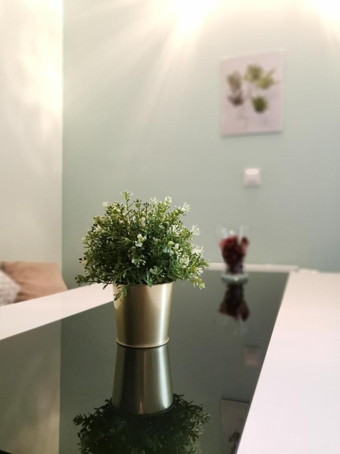 Maglonia Apartment Wrocław Extérieur photo